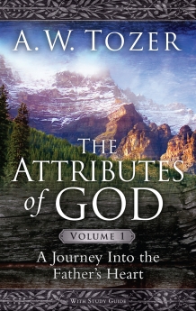 The Attributes Of God Volume 1 Resourcing The Church
