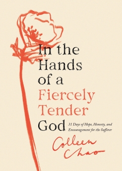 In the Hands of a Fiercely Tender God | Christian Books