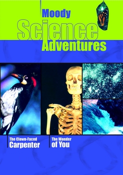 The Clown-Faced Carpenter and The Wonder of You
