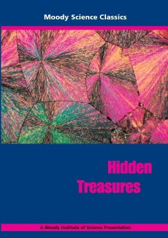 Hidden Treasures