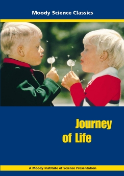 Journey of Life